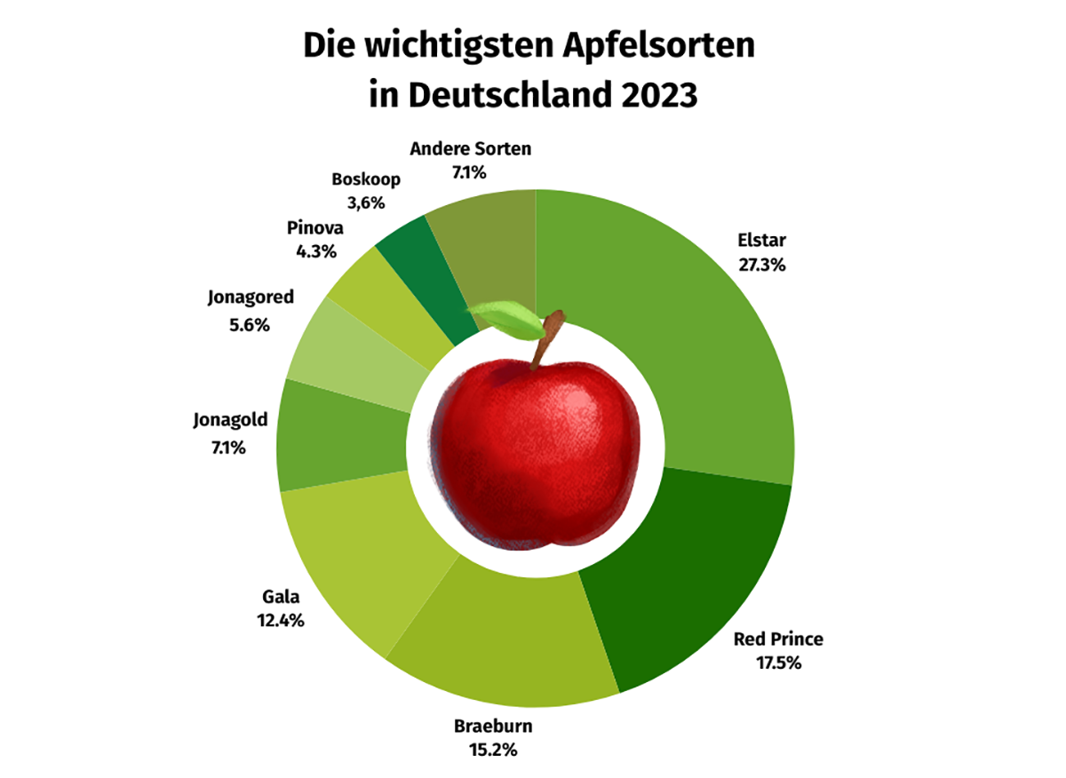 Grafik mit den wichtigsten Apfelsorten in Deutschland und ihren Anteilen: Elstar 27,3%, Red Prince 17,5%, Braeburn 15,2%, Gala 12,4%, Jonagold 7,1%, Jonagored 5,6%, Pinova 4,3%, Boskoop 3,6%, Andere Sorten 7,1%.