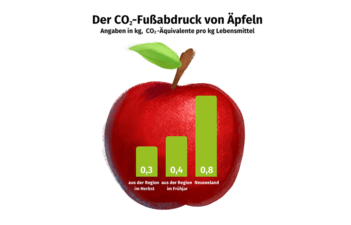 Bild eines Apfels mti Zahlen zum CO2-Fußabdruck von Äpfeln (Angaben in kg, CO"-Äquivalente pro kg Lebensmittel): aus der Region im Hernst 0,3 kg, aus der Region im Frühjahr 0,4kg, aus Neuseeland 0,8 kg.