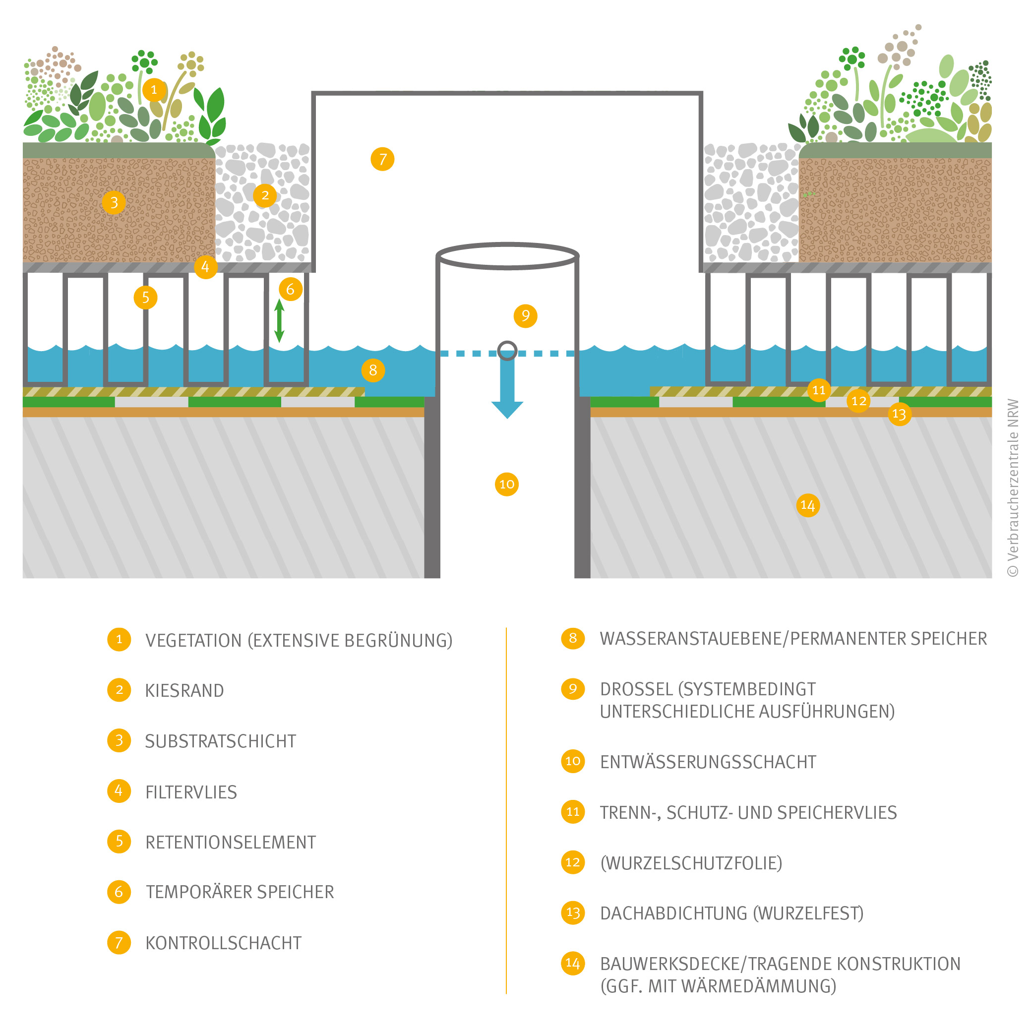 Grafik Retentionsgründach mit Drossel und Wasseranstau